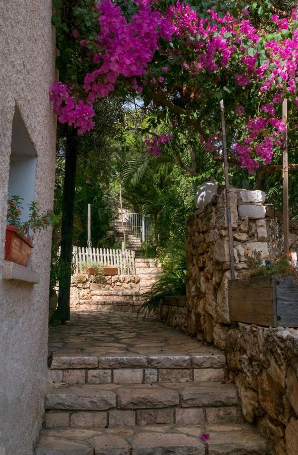 Natural Reserve Apartment Zikhron Ya'akov Εξωτερικό φωτογραφία